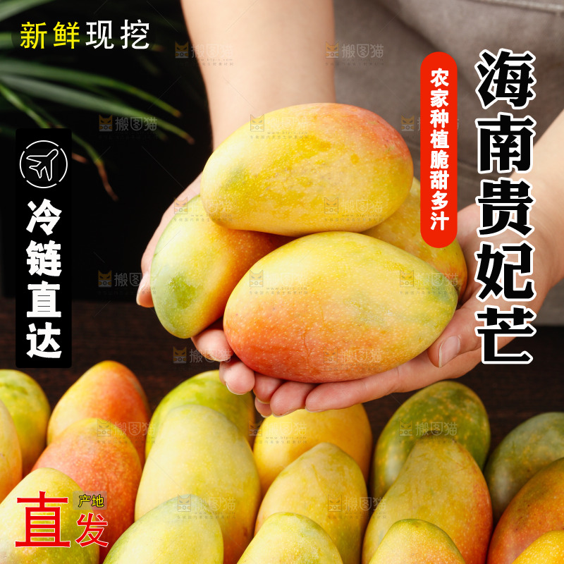 深底上的贵妃芒