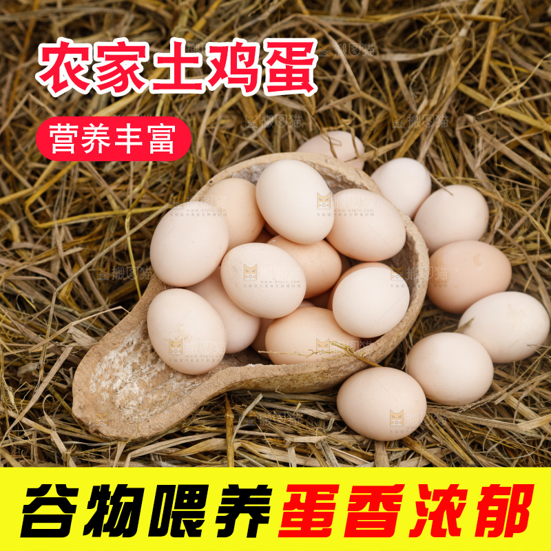 地上放着新鲜土鸡蛋