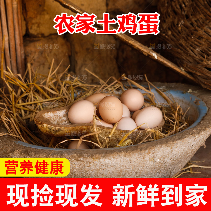 地上放着新鲜土鸡蛋