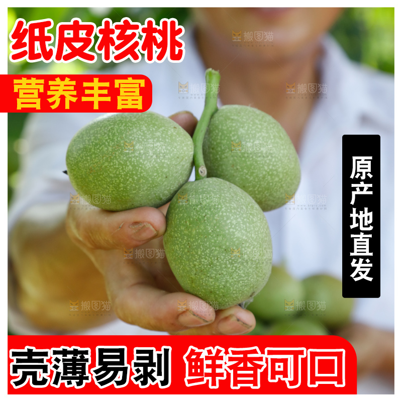 手里拿着青核桃