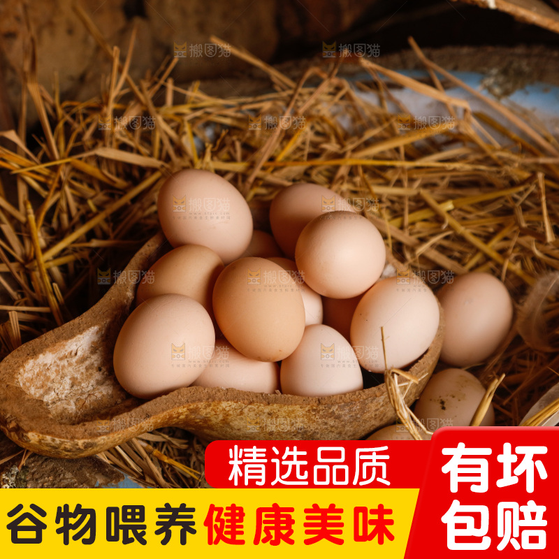 地上放着新鲜土鸡蛋