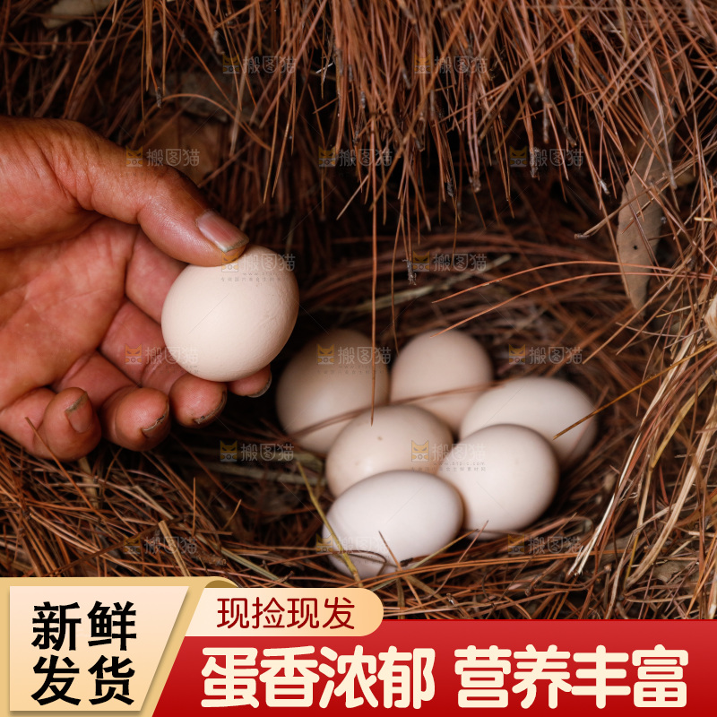 地上放着新鲜土鸡蛋
