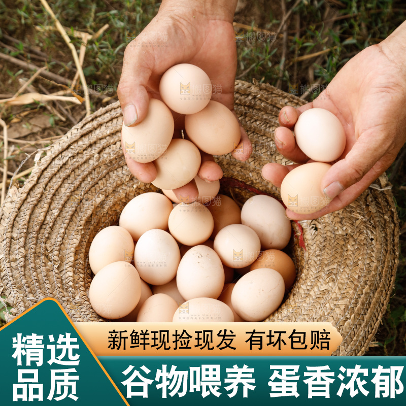 手里拿着土鸡蛋