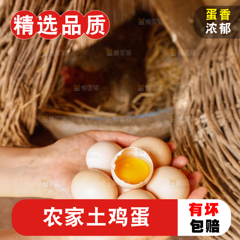 地上放着新鲜土鸡蛋