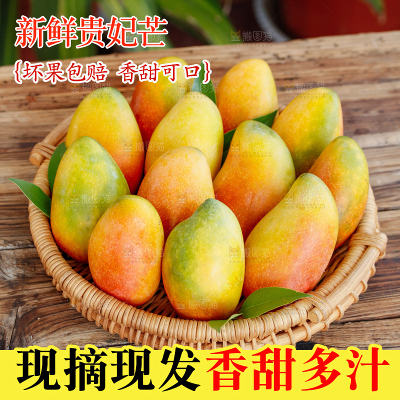 深底上的贵妃芒