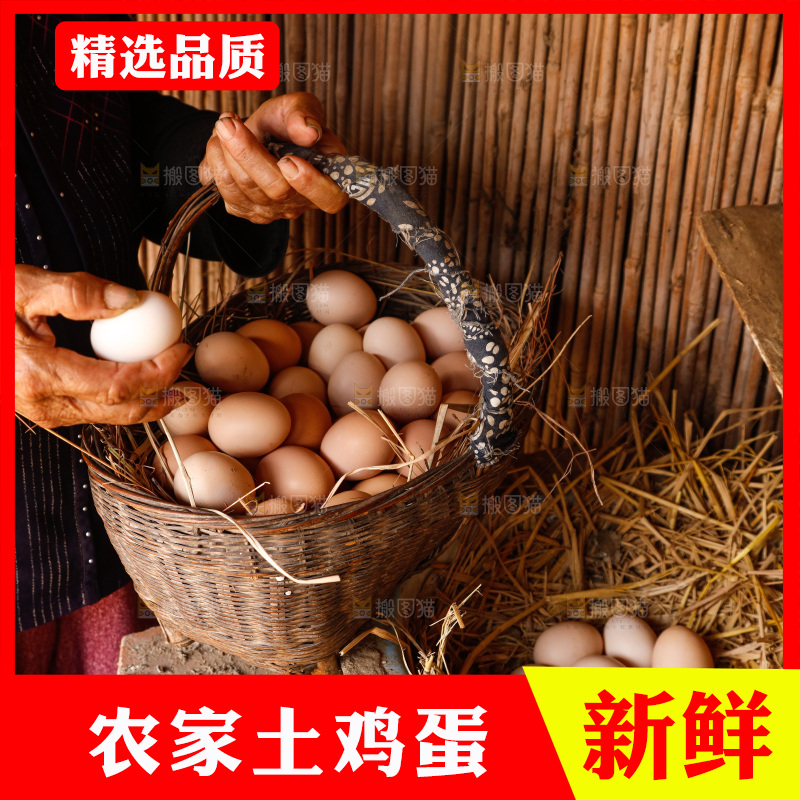 地上放着新鲜土鸡蛋