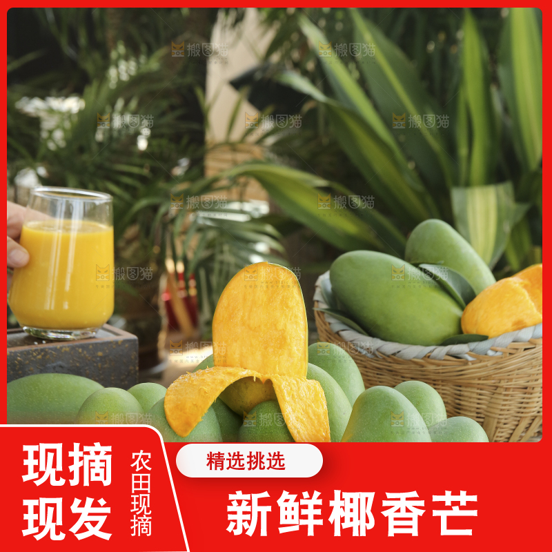 深底上的椰香芒
