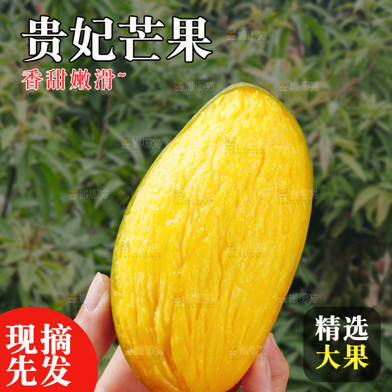 深底上的贵妃芒