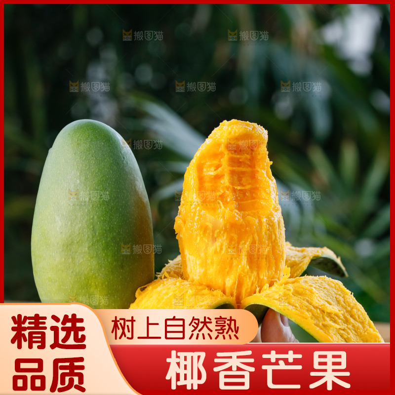 手里拿着椰香芒