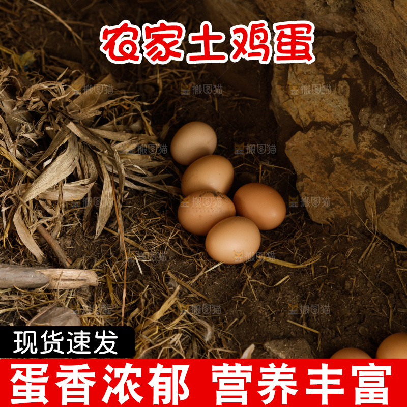 地上放着新鲜土鸡蛋