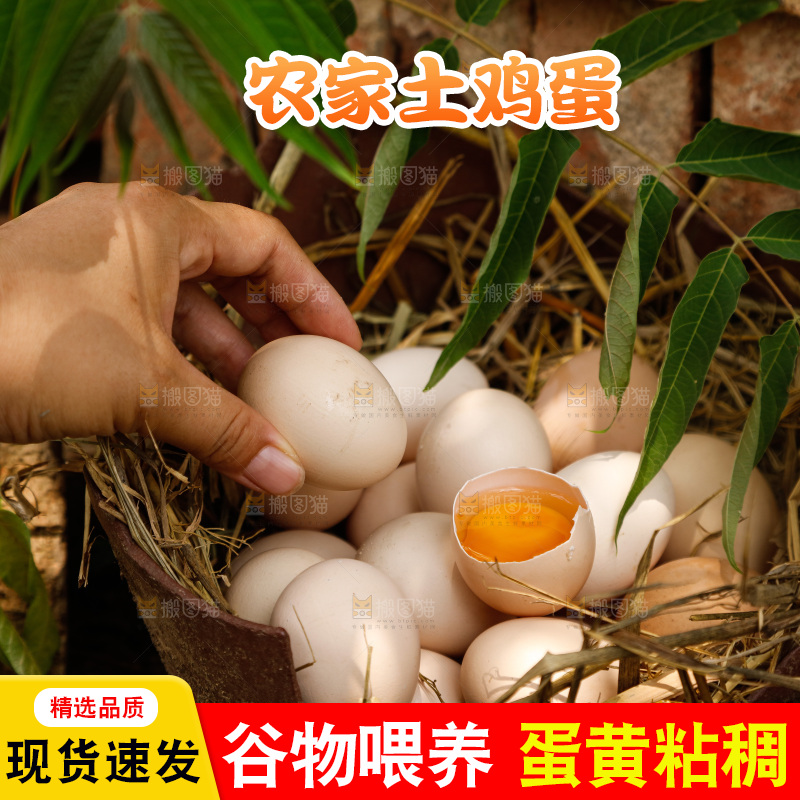 地上放着新鲜土鸡蛋