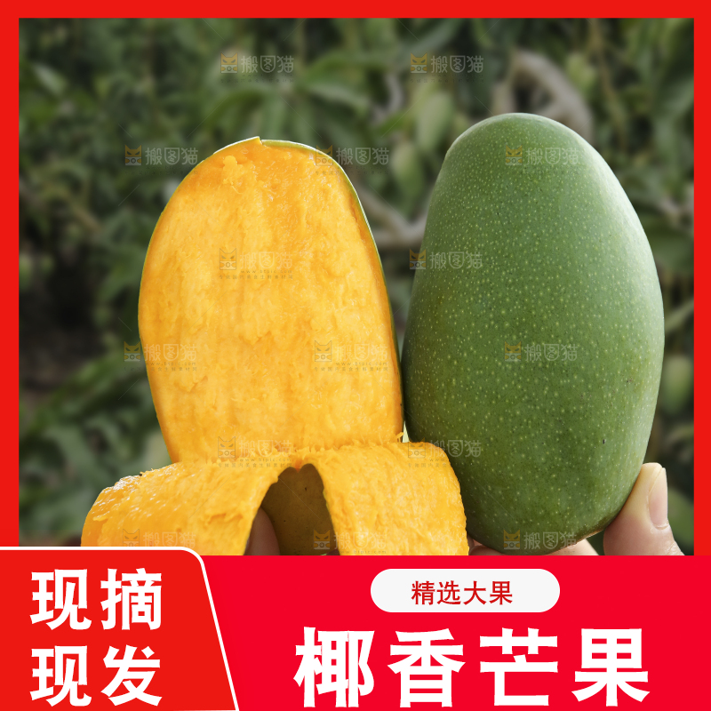 手里拿着椰香芒