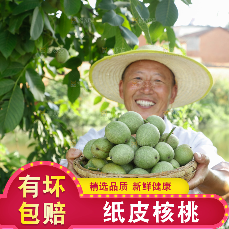 手里拿着青核桃