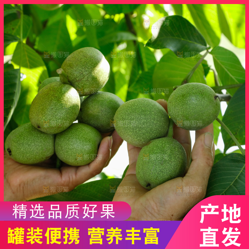 手里拿着青核桃