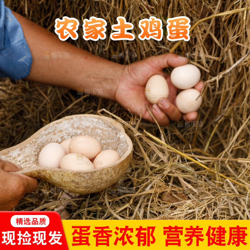 地上放着新鲜土鸡蛋