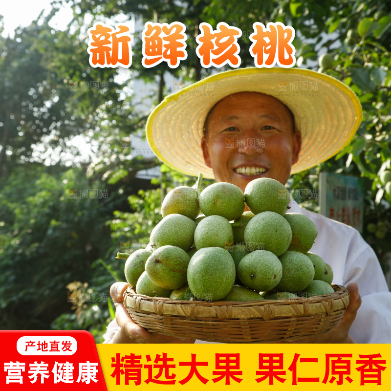 手里拿着青核桃