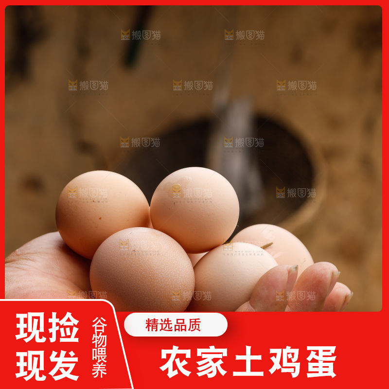 手里拿着土鸡蛋