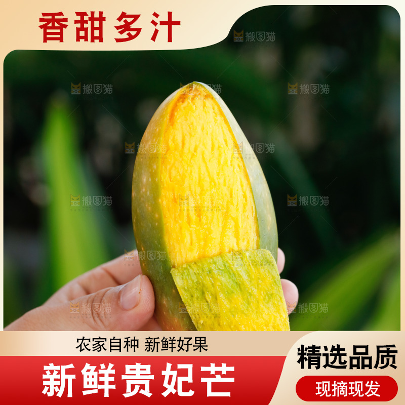手里拿着贵妃芒