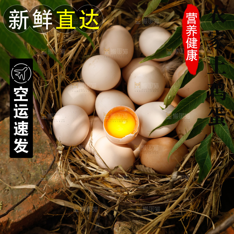 地上放着新鲜土鸡蛋