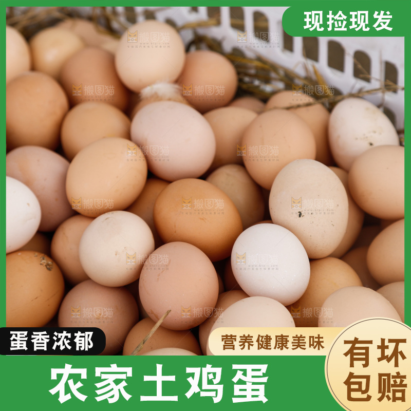 地上放着新鲜土鸡蛋