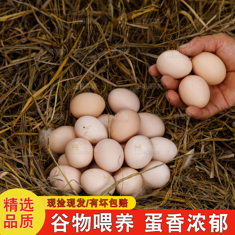 地上放着新鲜土鸡蛋