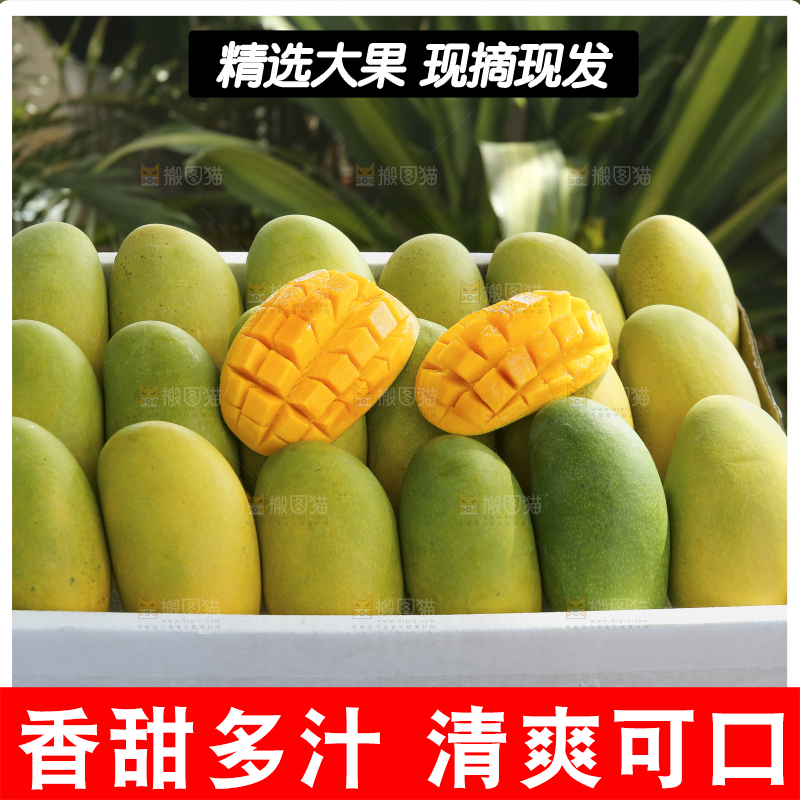 深底上的椰香芒