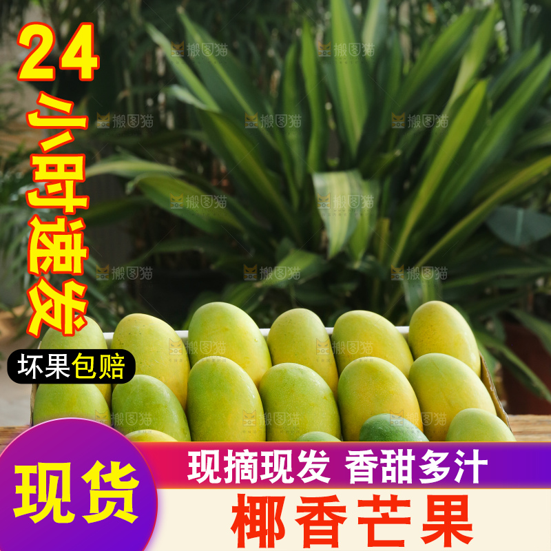 深底上的椰香芒