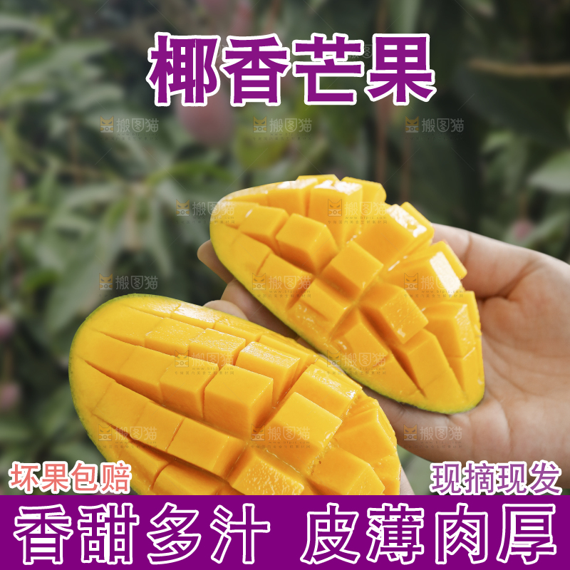 手里拿着椰香芒
