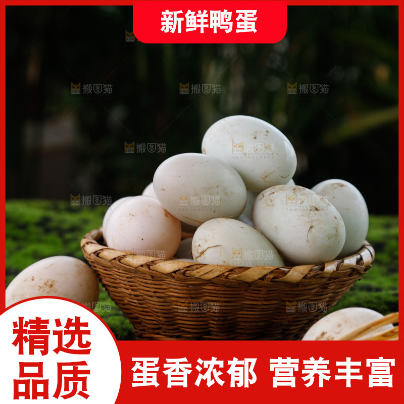 深底上的鸭蛋