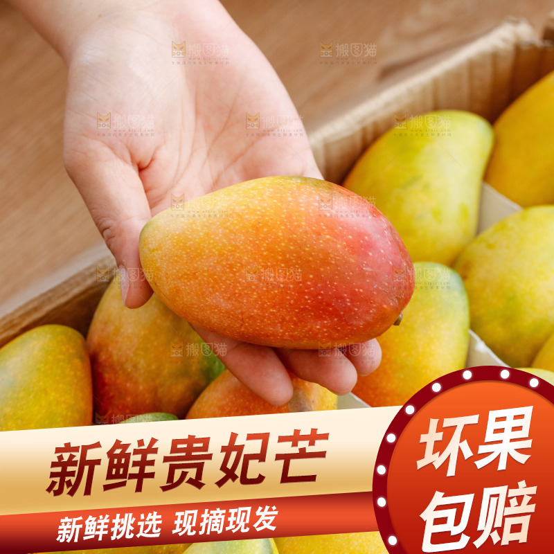 手里拿着贵妃芒