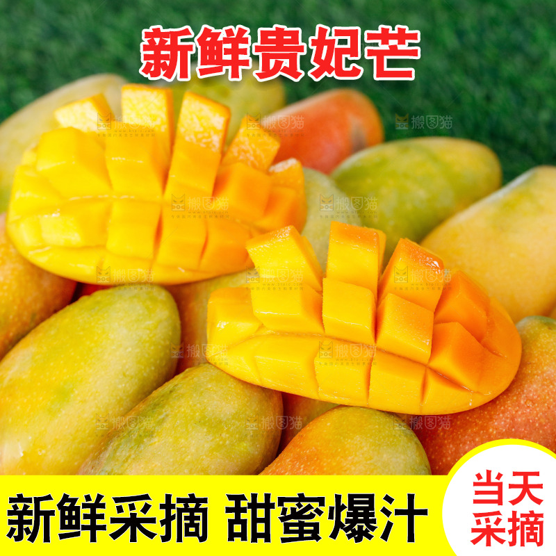 深底上的贵妃芒