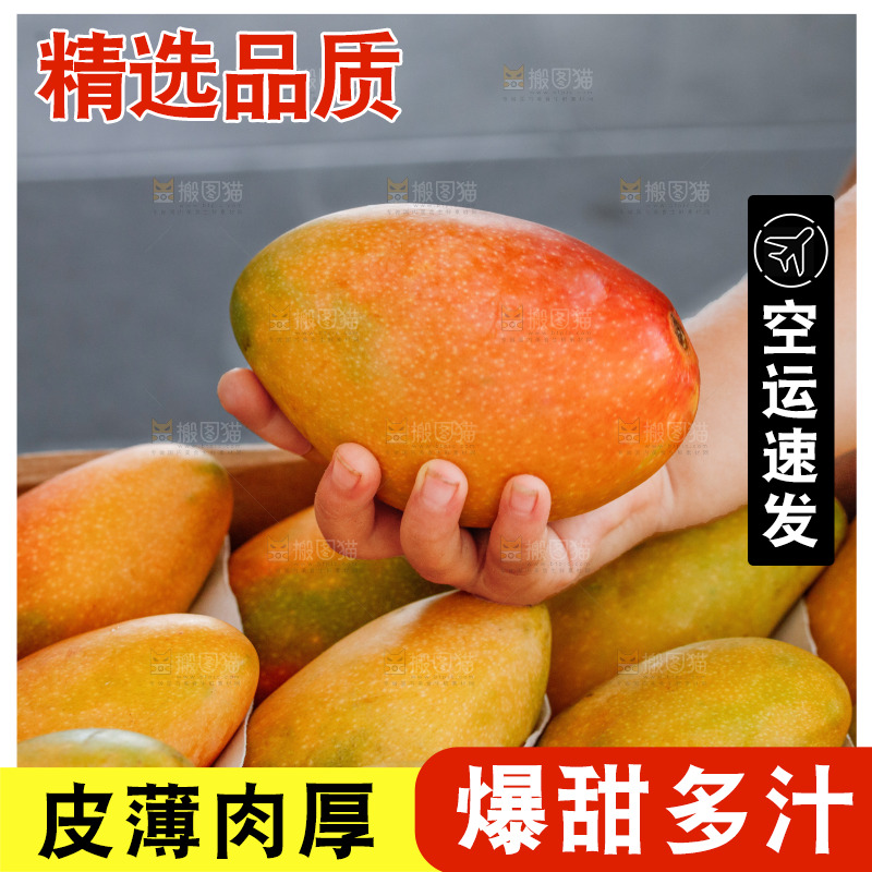 手里拿着贵妃芒