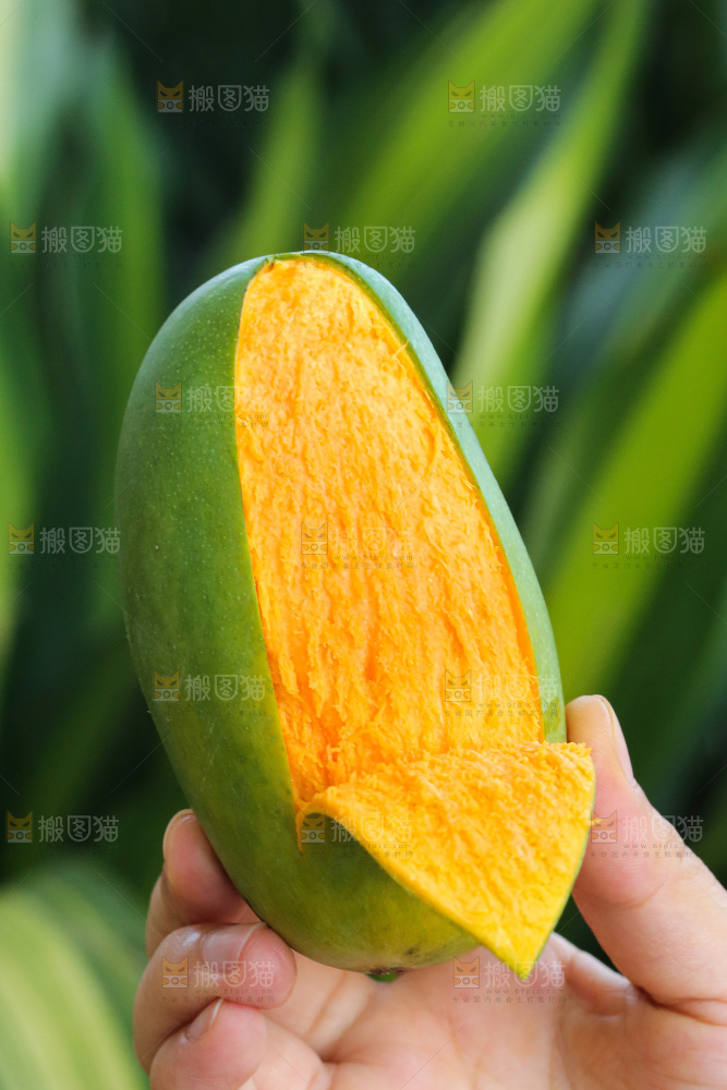 手里拿着椰香芒