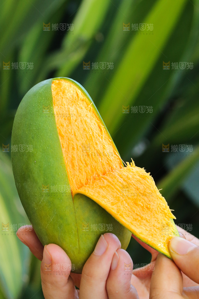 手里拿着椰香芒