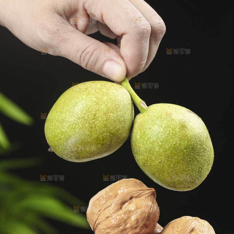 浅底上的青核桃