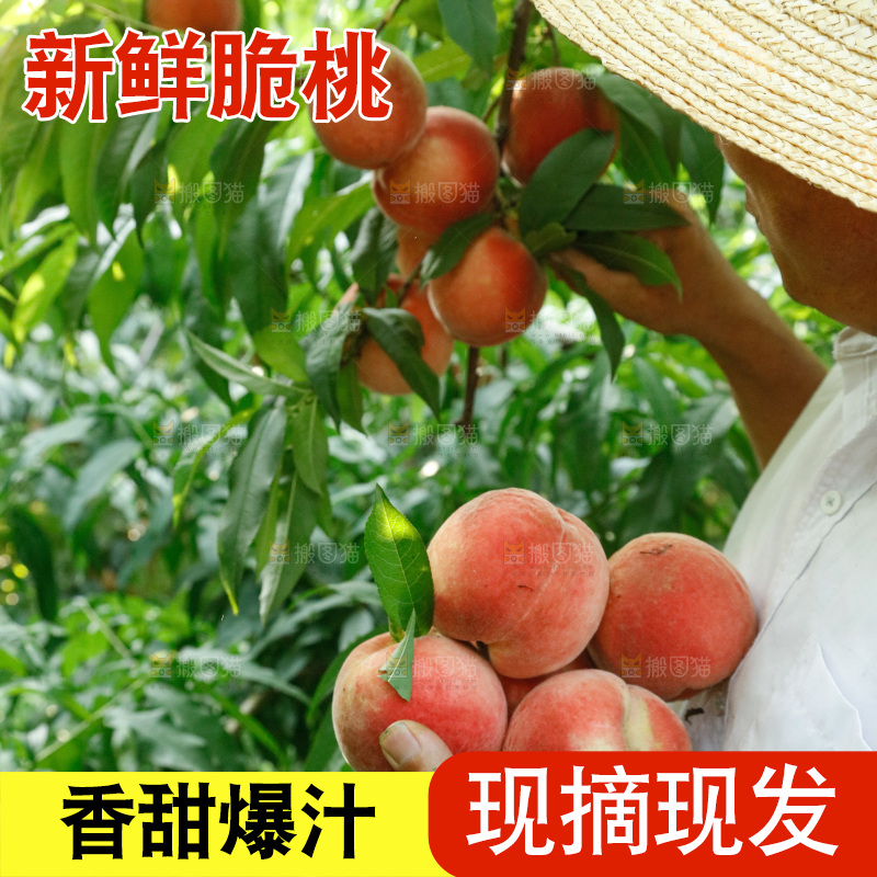 手里拿着苹果桃