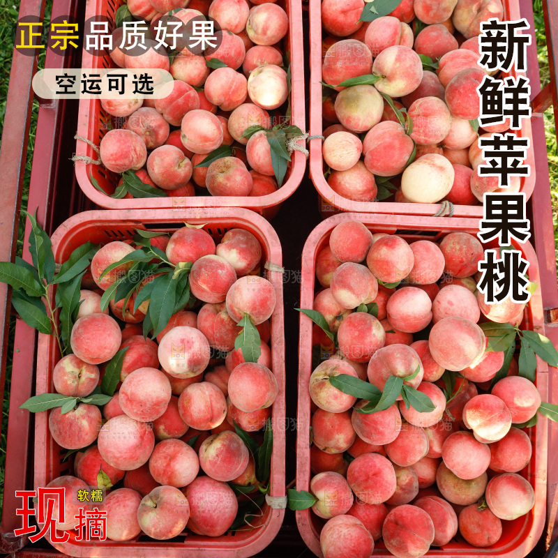 堆放着新鲜苹果桃