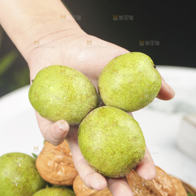 浅底上的青核桃