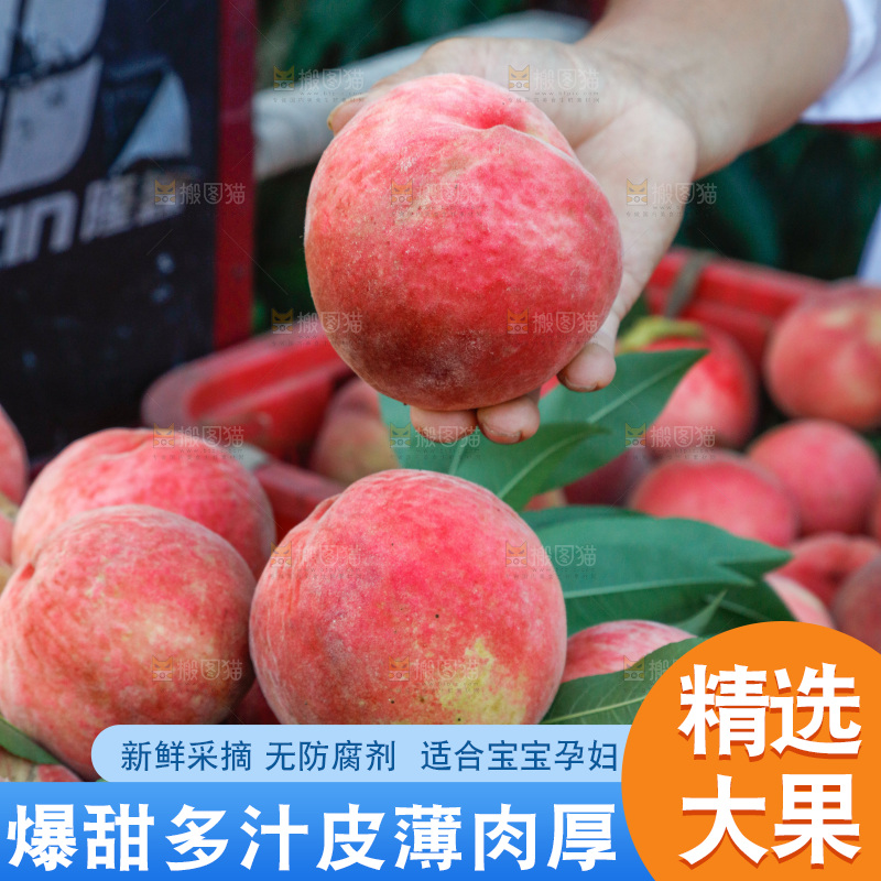 手里拿着苹果桃