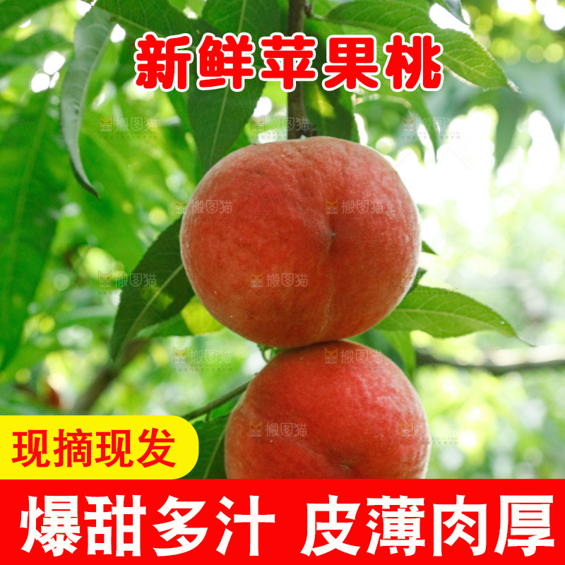树上的新鲜脆桃