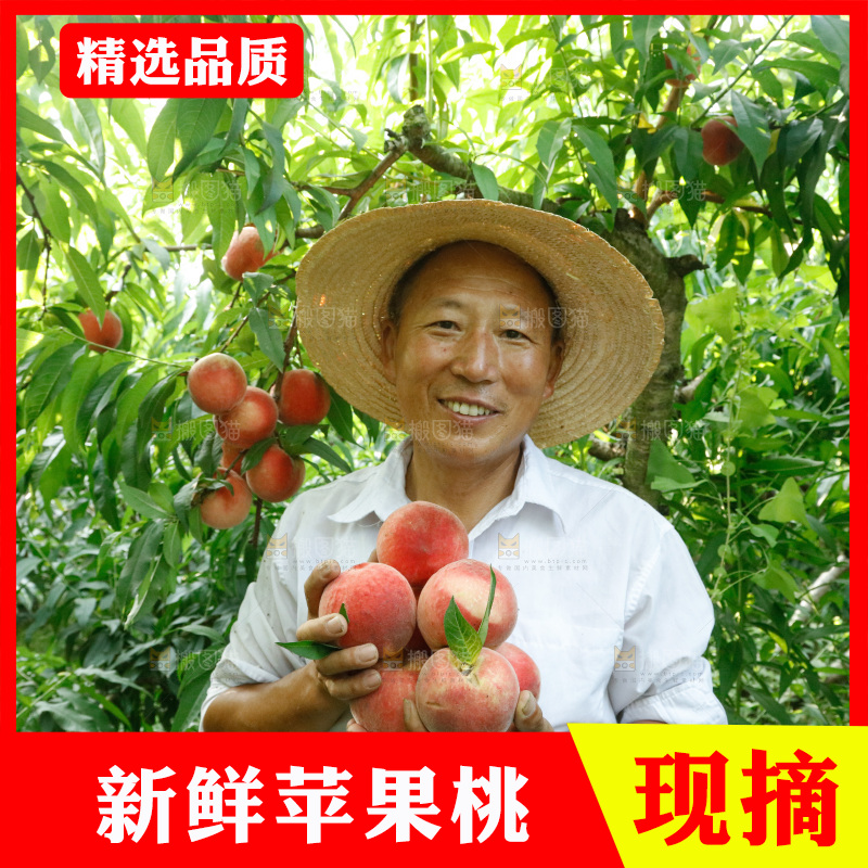 手里拿着苹果桃
