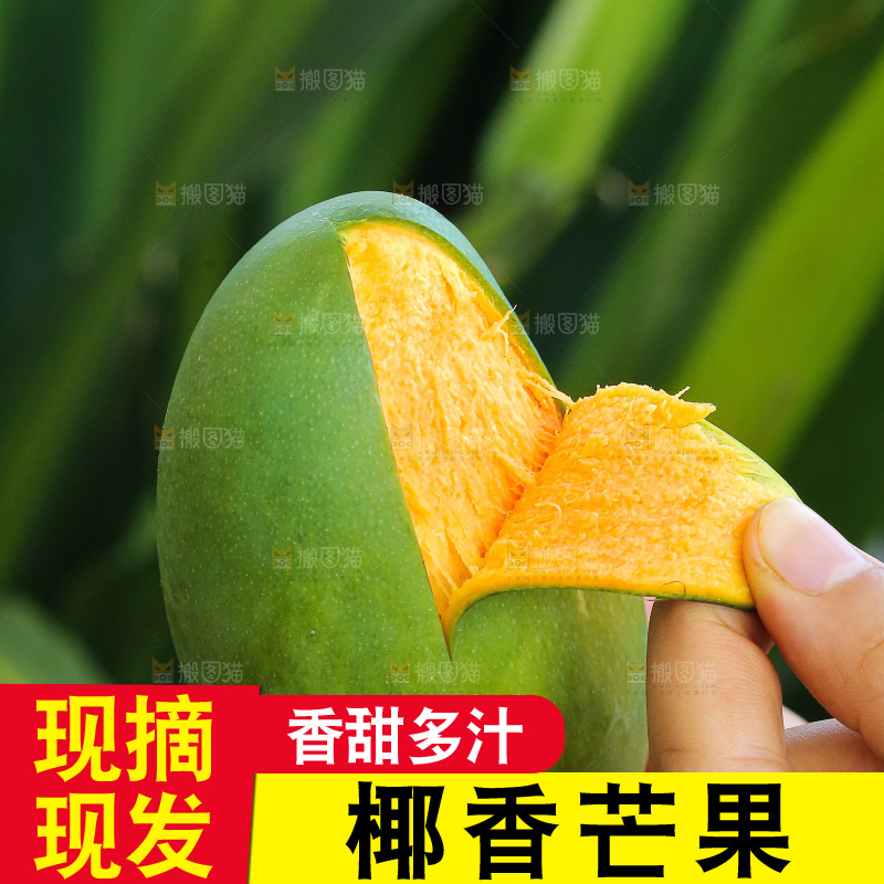 手里拿着椰香芒