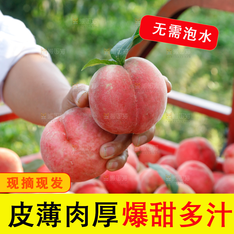 手里拿着苹果桃