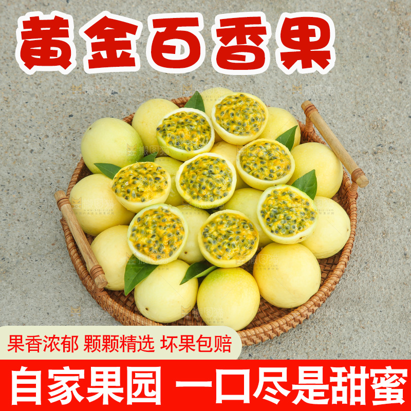 浅底上的黄金百香果