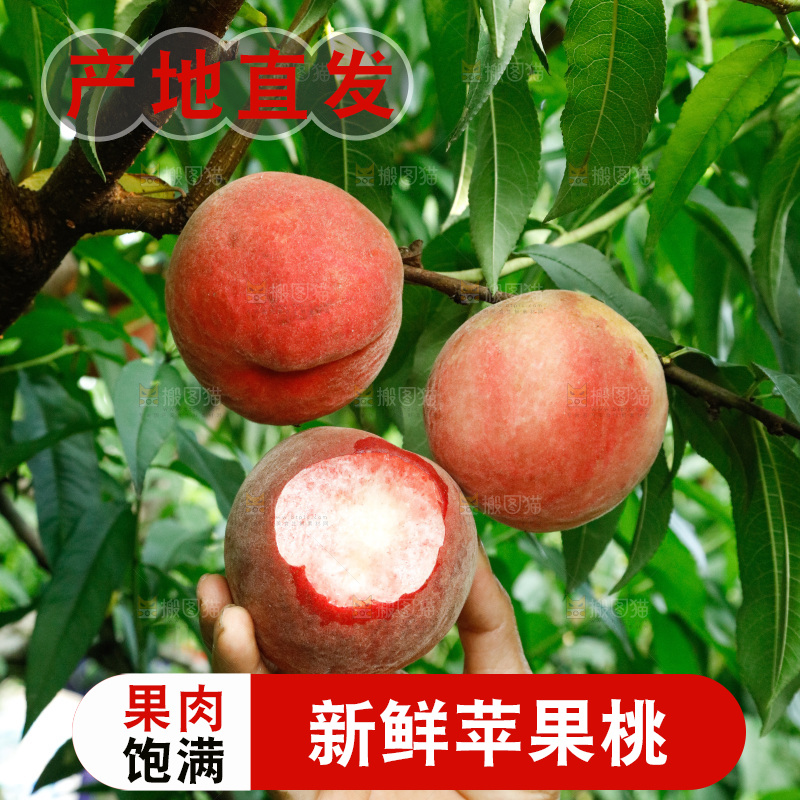 手里拿着苹果桃