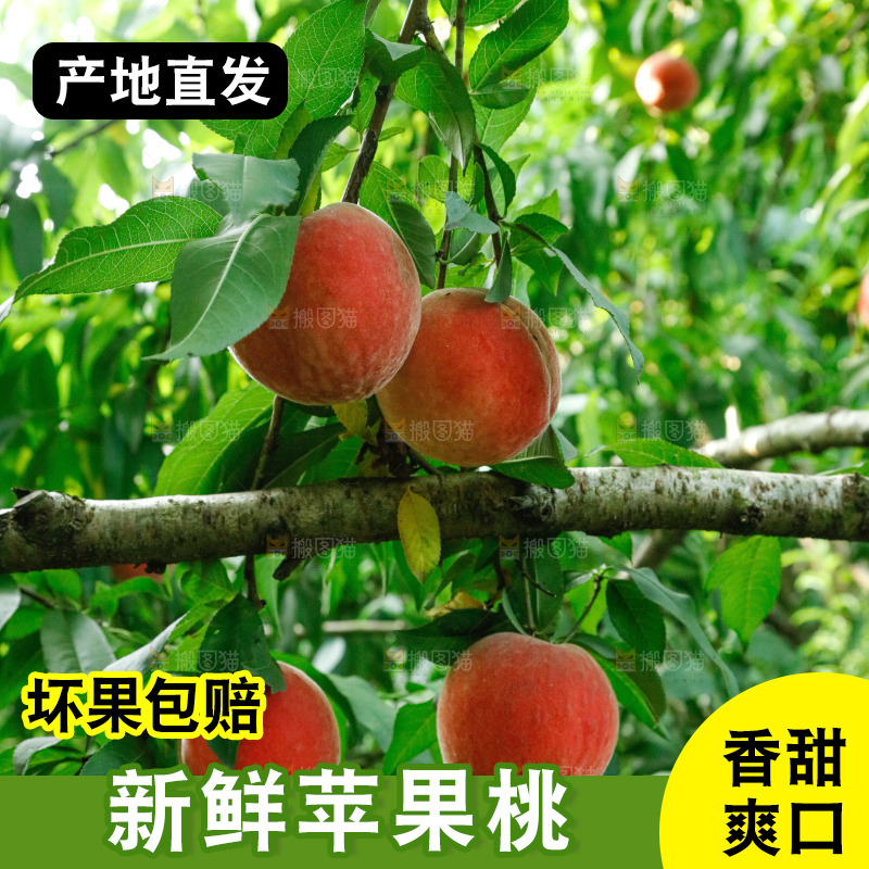 树上的新鲜脆桃