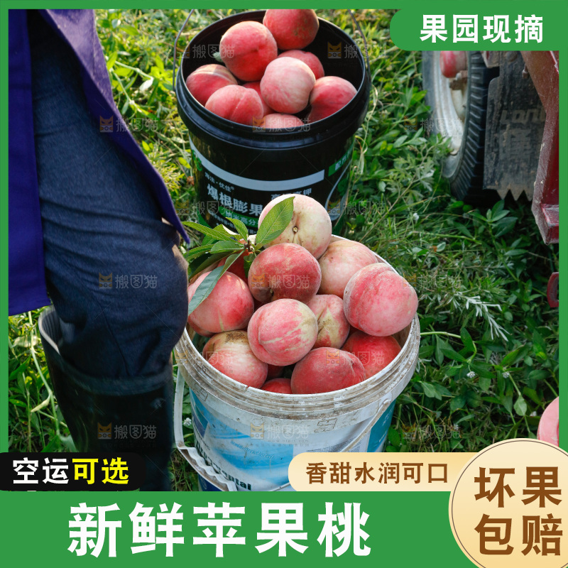 堆放着新鲜苹果桃