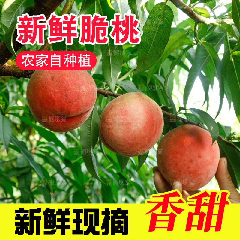 手里拿着苹果桃