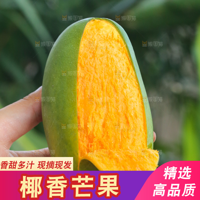 手里拿着椰香芒