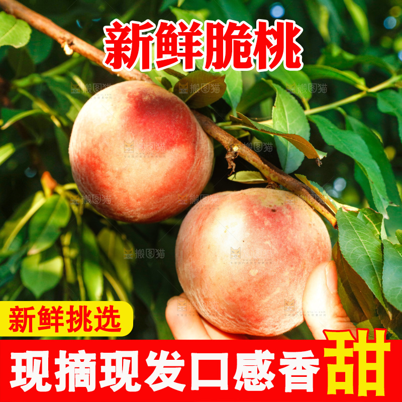 手里拿着苹果桃